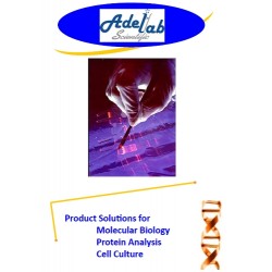 Product Solutions for Molecular Biology Protein Analysis Cell Culture