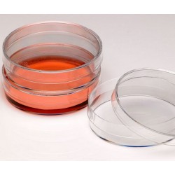 Nest Cell Culture Petri Dish, 60mm, polystyrene, sterile, ctn/500