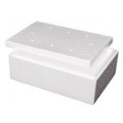 Foamex Foam Cooler Box with Lid, 5L, ctn/20