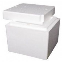 Foamex Foam Cooler Box with Lid, 6L, ctn/20