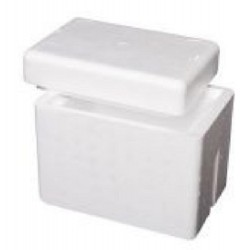Foamex Foam Cooler Box with Lid, 9L, each
