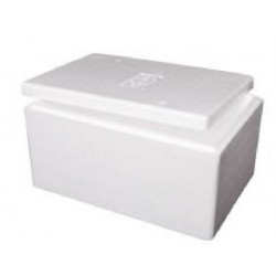 Foamex Foam Cooler Box with Lid, 21L, each