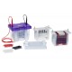 Cleaver Vertical & Horizontal Electrophoresis Systems