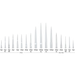 Accumax Pre-Racked Micropipette Tips