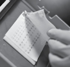 Blotting Paper
