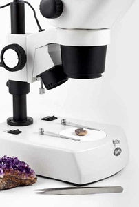 Stereo/Dissecting