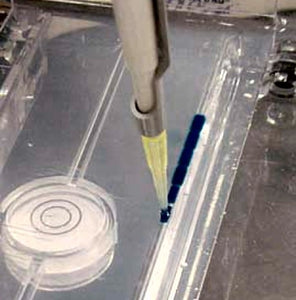 DNA Gel Loading Dyes