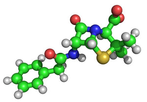 Molecular Biochemical Reagents