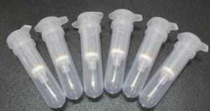 Nucleic Acid Binding Columns