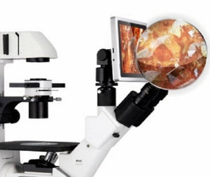 Motic Digital Cameras and Displays
