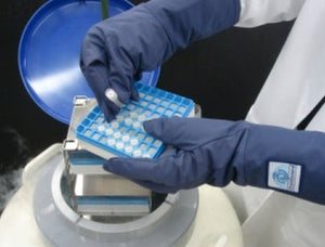 Cryogenic Aprons, Gloves & Tongs