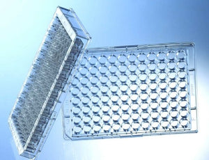 Microplates for UV and VIS Plate Reading Spectrophotometers
