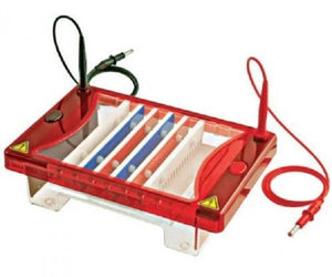 Electrophoresis