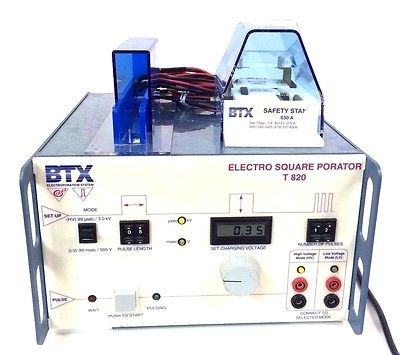 BTX Electrophoresis