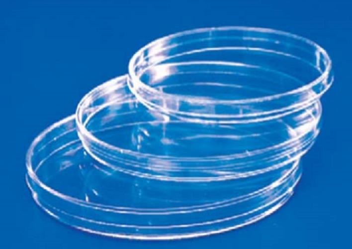 APTACA-Petri dish, clear polystyrene, 140mm, with lid, polystyrene, sterile-pkt/10/240/ctn- with vents
