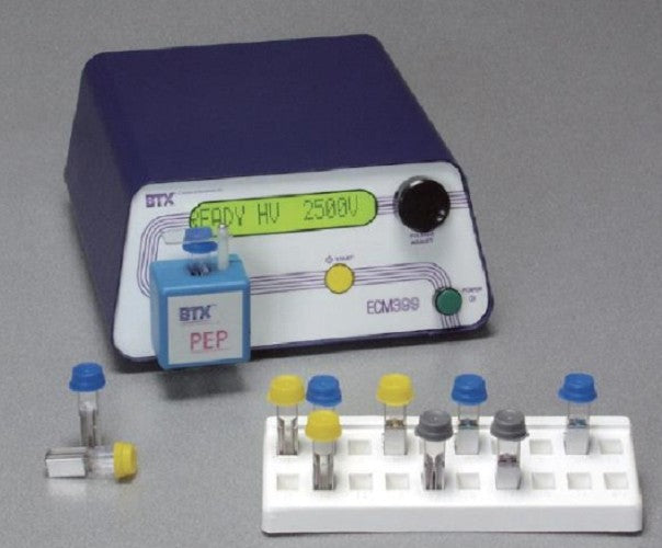 BTX Electrophoresis