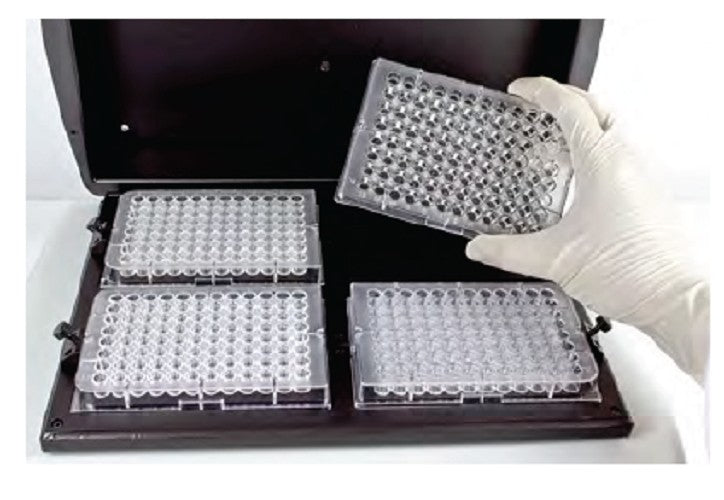 Biosn Plate Thermo–Shakers