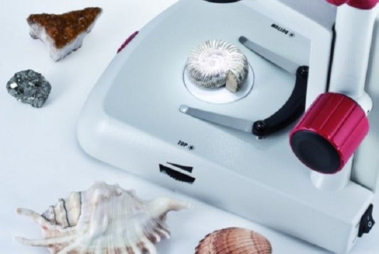 Motic Stereo Dissecting Microscopes