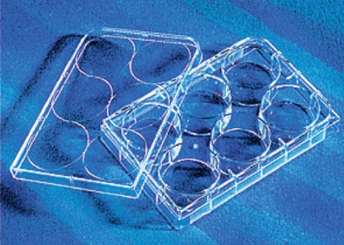 Corning 6 well Tissue culture Treated plates, with lid flat bottom, sterile 5/pack/case/100