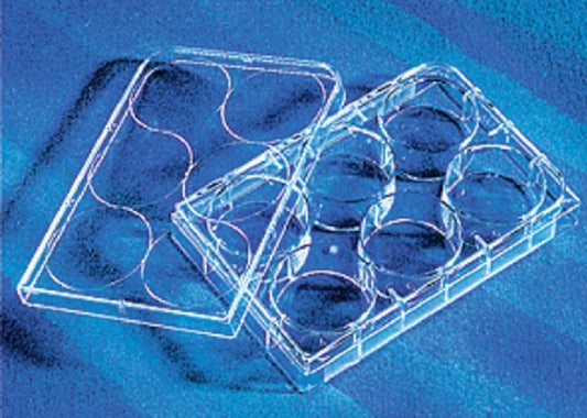Corning 6 well Tissue culture Treated plates, with lid flat bottom, sterile 5/pack/case/100