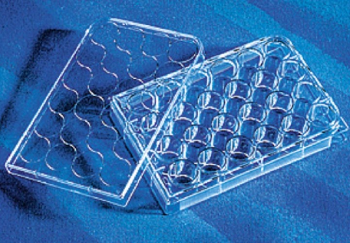 Corning 24 well Tissue culture Treated plates, with lid flat bottom, sterile, individually wrapped-pkt/50