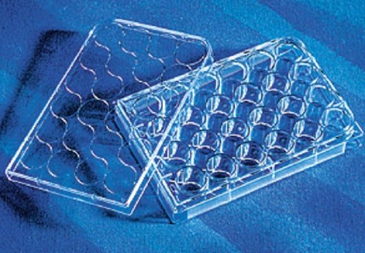 Corning 24 well Tissue culture Treated plates, with lid flat bottom, sterile, individually wrapped-pkt/50