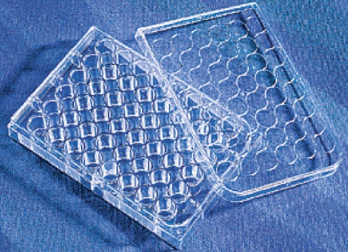 Corning 48 well Tissue culture Treated plates, with lid, flat bottom, sterile, individually wrapped-pkt/100