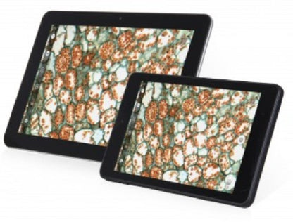 Motic Microscope Cameras and Displays