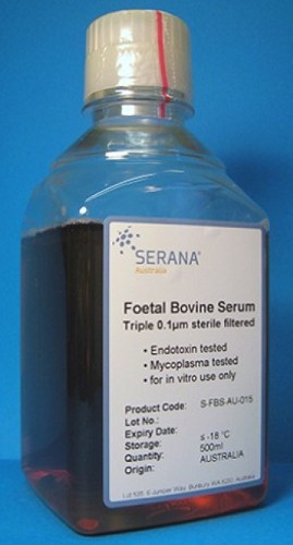 Fisher Biotec-Foetal Bovine Serum-500mL
