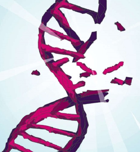 Fisher Biotec-Rnase/Dnase Eliminator spray-1000mL