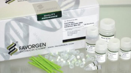 Tissue Genomic DNA Extraction McroElute Kit, with Proteinase K Powder  (300-prep)