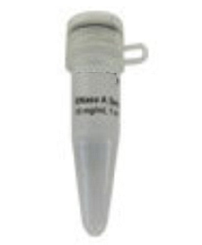 RNase A (50mg/ml)  (60Microliter)