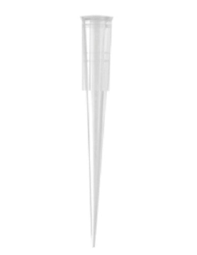 Axygen 1-200µL Clear Max Recovery Sterile Pre-Racked pipette tips Pre-Racked & Sterile-per /(10 x 96)