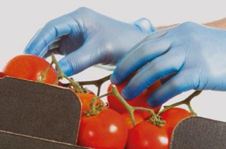 Full Kit Ranges Bastion Full Vinyl Glove Ranges – Adelab Scientific