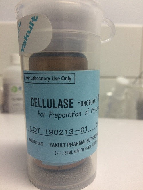 YAKULT-CELLULASE "ONOZUKA" R-10 (10g)