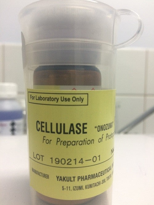 YAKULT CELLULASE "ONOZUKA" RS (10g)