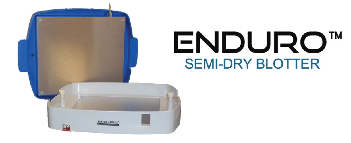 Labnet ENDURO™ Semi-Dry Laboratory Blotter