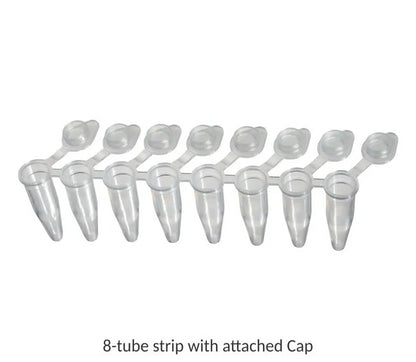 Accumax PCR Tubes